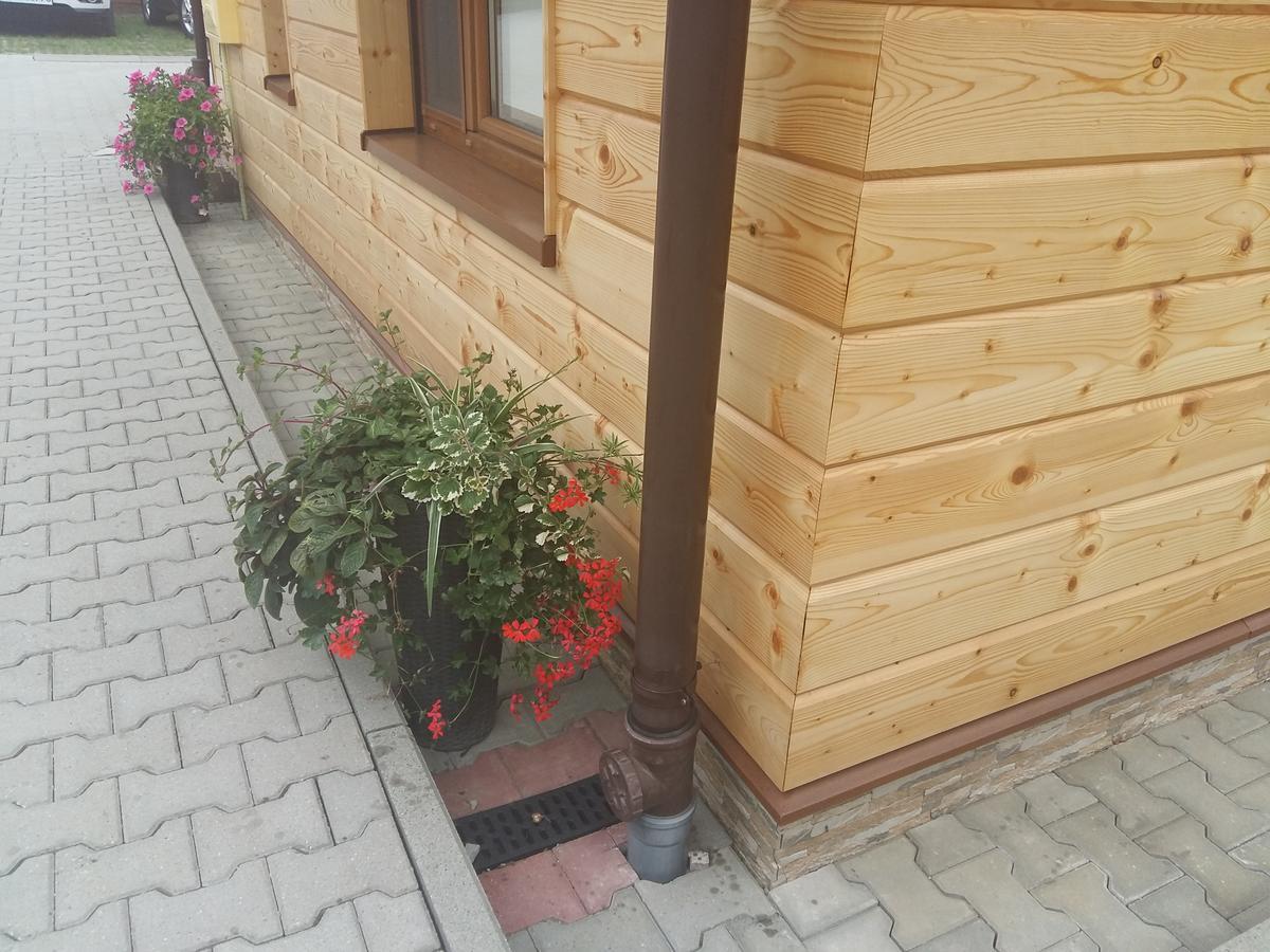 Domek 87 Krynica-Zdrój Exteriör bild